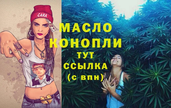 индика Балахна
