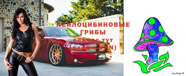 МДПВ Аша