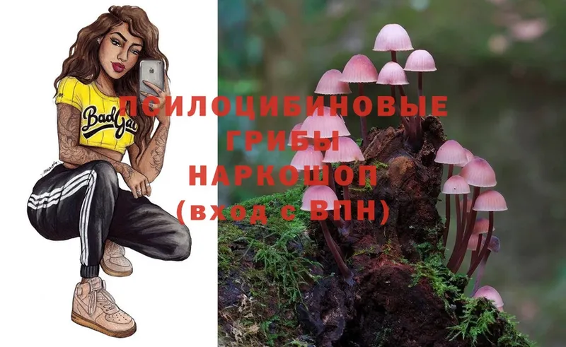 Галлюциногенные грибы Psilocybe  hydra сайт  Михайловск 