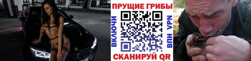 Псилоцибиновые грибы ЛСД магазин наркотиков Михайловск