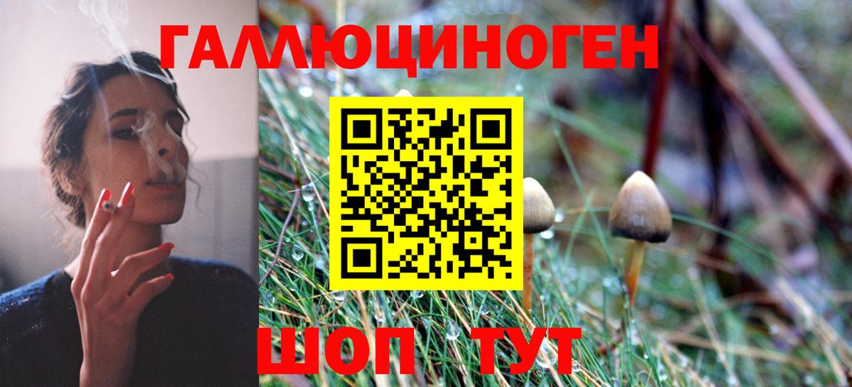Псилоцибиновые грибы мухоморы  Вход с VPN  Михайловск 