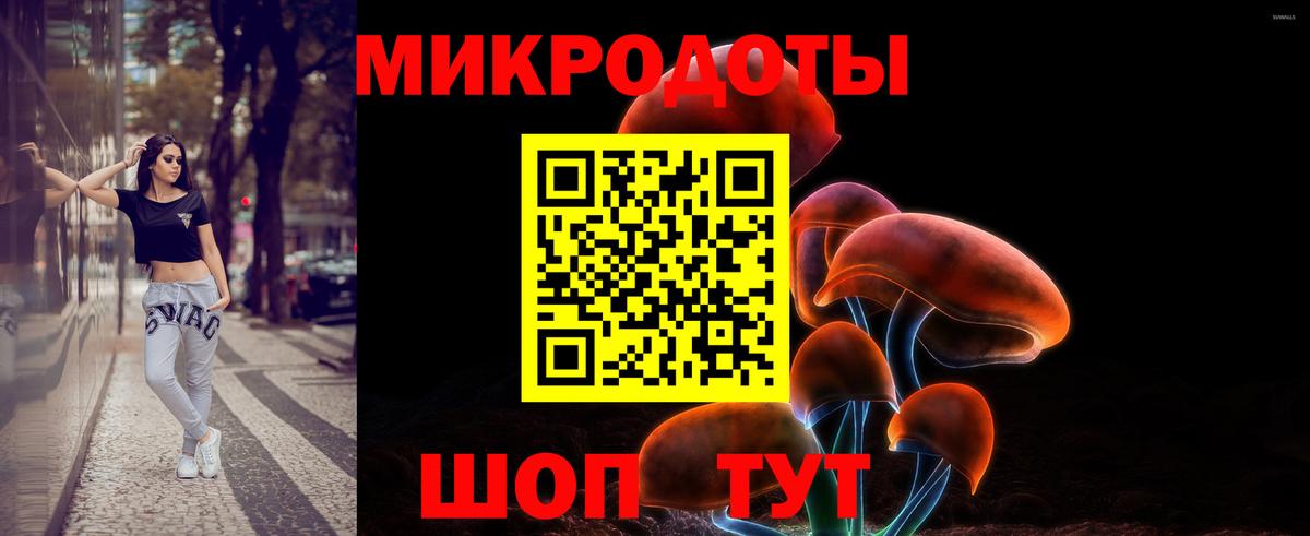 Галлюциногенные грибы прущие грибы Михайловск